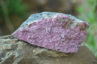 Natural Pink Salrose Cobaltion Dolomite Specimens  x 6 From Kakanda, Congo