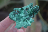 Natural Chatoyant Silky Malachite Specimens  x 12 From Kasompe, Congo