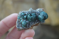 Natural Rare Ball Malachite On Drusy Quartz & Dolomite Matrix Specimens x 6 From Congo