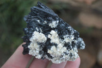 Natural Medium Sized Schorl / Black Tourmaline Specimens x 6 From Erongo, Namibia