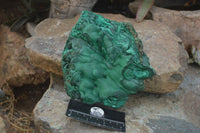 Natural Large Botryoidal Crystalline Malachite Specimen  x 1 From Congo