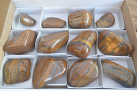 Polished Golden Tigers Eye Free Forms x 12 From Prieska, Northern Cape