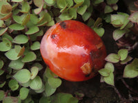 Polished Bright Red/ Orange Medium Sized Carnelian Palm Stones / Gallets - sold per kg - From Madagascar - TopRock