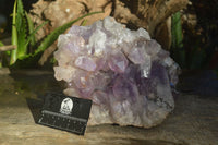 Natural Jacaranda Amethyst Cluster x 1 From Mumbwa, Zambia - TopRock