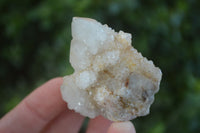 Natural Small Cactus Flower Quartz Specimens  x 24 From Boekenhouthoek, South Africa - Toprock Gemstones and Minerals 