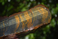 Natural Golden Blue Tigers Eye Specimens  x 2 From Prieska, South Africa - TopRock