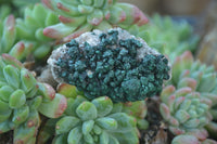 Natural Rare Ball Malachite On Drusy Quartz & Dolomite Matrix Specimens x 6 From Congo