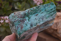 Natural Drusy Coated Chrysocolla & Malachite Dolomite Specimens x 2 From Likasi, Congo