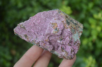 Natural Pink Salrose Cobaltion Dolomite Specimens  x 6 From Kakanda, Congo