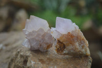 Natural Rare Spirit Ametrine Quartz Crystals  x 35 From Boekenhouthoek, South Africa - Toprock Gemstones and Minerals 