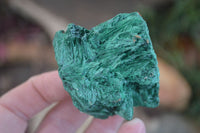 Natural Chatoyant Silky Malachite Specimens  x 12 From Kasompe, Congo