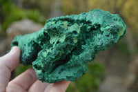 Natural Chatoyant Silky Malachite Specimens  x 2 From Kasompe, Congo - TopRock