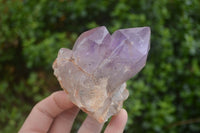 Natural Amethyst Crystal Specimens x 12 From Zambia - TopRock