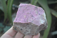 Natural Pink Salrose Cobaltion Dolomite Specimens  x 6 From Kakanda, Congo