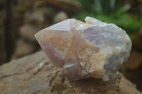 Natural Jacaranda Amethyst Clusters  x 3 From Mumbwa, Zambia - Toprock Gemstones and Minerals 