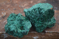 Natural Chatoyant Silky Malachite Specimens  x 12 From Kasompe, Congo