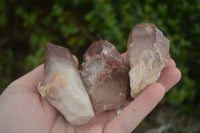 Natural Red Hematoid Quartz Specimens x 24 From Karoi, Zimbabwe - TopRock