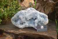 Natural Extra Large Celestite Geode Specimen  x 1 From Sakoany, Madagascar