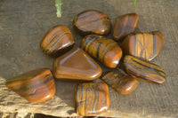 Polished Golden Tigers Eye Free Forms x 12 From Prieska, Northern Cape