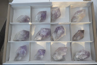 Natural Single Jacaranda Amethyst Crystals x 12 From Zambia