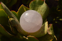 Polished Rare Blue Rose Quartz Spheres With Asterisms  x 4 From Madagascar - TopRock