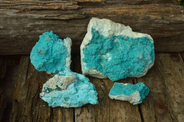 Natural Bright Blue Botryoidal Chrysocolla Specimens x 4 From Lupoto, Congo - TopRock