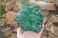 Natural Large Botryoidal Crystalline Malachite Specimen  x 1 From Congo