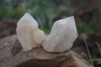 Natural Highly Selected Pineapple Candle Quartz Crystals  x 12 From Madagascar - Toprock Gemstones and Minerals 