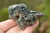 Natural Rare Copper Phosphate Libethenite On Dolomite Clusters x 3 From Shituru, Congo - TopRock