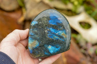 Polished Labradorite Standing Free Forms With Intense Blue & Gold Flash x 3 From Tulear, Madagascar - TopRock