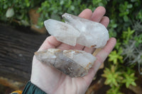 Natural Large Mixed Brandberg Quartz Crystals x 6 From Brandberg, Namibia