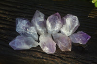 Natural Single Jacaranda Amethyst Crystals x 12 From Zambia