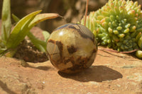 Polished Septarian (Calcite & Aragonite) Spheres  x 5 From Mahajanga, Madagascar - TopRock