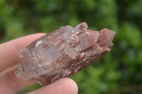 Natural Red Hematoid Quartz Specimens x 24 From Karoi, Zimbabwe - TopRock