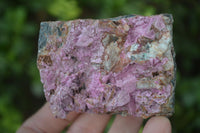 Natural Pink Salrose Cobaltion Dolomite Specimens  x 6 From Kakanda, Congo