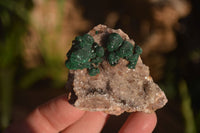 Natural Rare Ball Malachite On Drusy Quartz & Dolomite Matrix Specimens x 6 From Congo