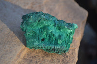 Natural Chatoyant Silky Malachite Specimens  x 12 From Kasompe, Congo