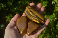 Polished Golden Tigers Eye Free Forms x 12 From Prieska, Northern Cape