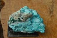 Natural Bright Blue Botryoidal Chrysocolla Specimens x 4 From Lupoto, Congo - TopRock