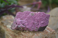 Natural Pink Salrose Cobaltion Dolomite Specimens  x 6 From Kakanda, Congo