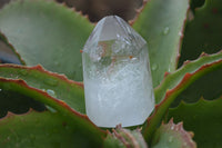 Polished Clear Quartz Crystal Points x 12 From Madagascar