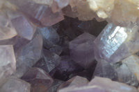 Natural Jacaranda Amethyst Cluster x 1 From Mumbwa, Zambia - TopRock