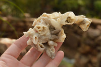 Natural Drusi Quartz Coated Calcite Pseudomorph Specimens  x 6 From Alberts Mountain, Lesotho - TopRock