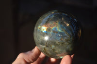 Polished Lovely Labradorite Spheres  x 6 From Tulear, Madagascar