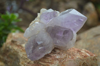 Natural Jacaranda Amethyst Clusters  x 3 From Mumbwa, Zambia - Toprock Gemstones and Minerals 