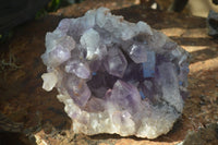 Natural Jacaranda Amethyst Cluster x 1 From Mumbwa, Zambia - TopRock