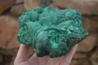 Natural Large Botryoidal Crystalline Malachite Specimen  x 1 From Congo