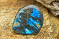 Polished Labradorite Standing Free Forms With Intense Blue & Gold Flash x 3 From Tulear, Madagascar - TopRock