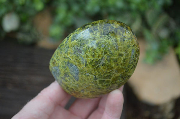 Polished Green Opal Standing Free Forms  x 6 From Madagascar