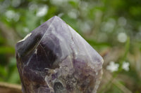 Polished Chevron Amethyst Crystal Points x 4 From Madagascar - TopRock